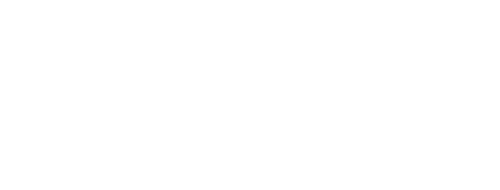 napit logo