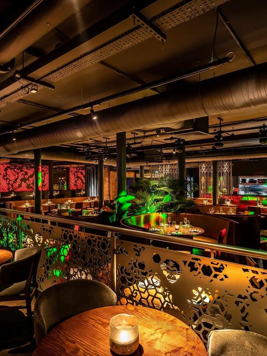 colourful bar lighting