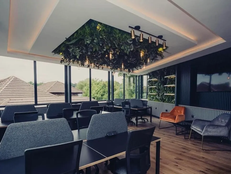 office with plant hanging from ceiling